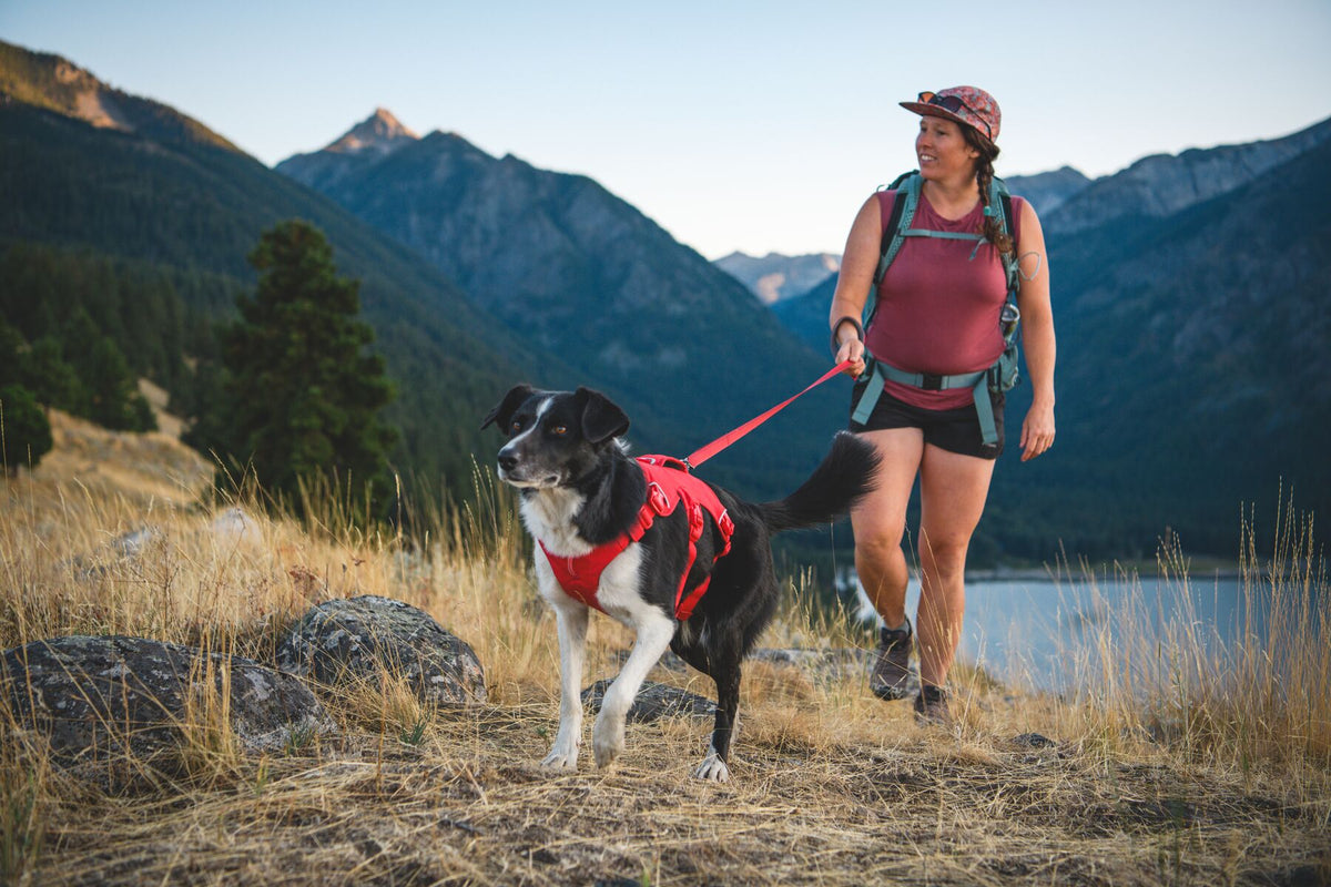 Woman hiking with a black and white dog wearing the Ruffwear Web Master harness in Red Canyon, mountain lake and peaks visible behind them, connected by a red lead
