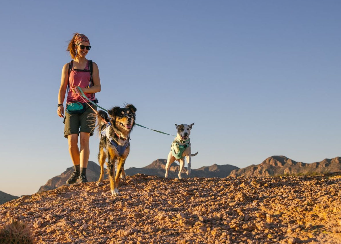 Woman hiking with two dogs on the Ruffwear Hi &amp; Light Dog Lead in Sage Green, desert mountain landscape, Arizona