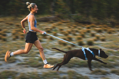 Woman running with a dark chocolate Labrador on a Ruffwear Front Range Flex Lead in Polar Blue, both at full stride across open moorland