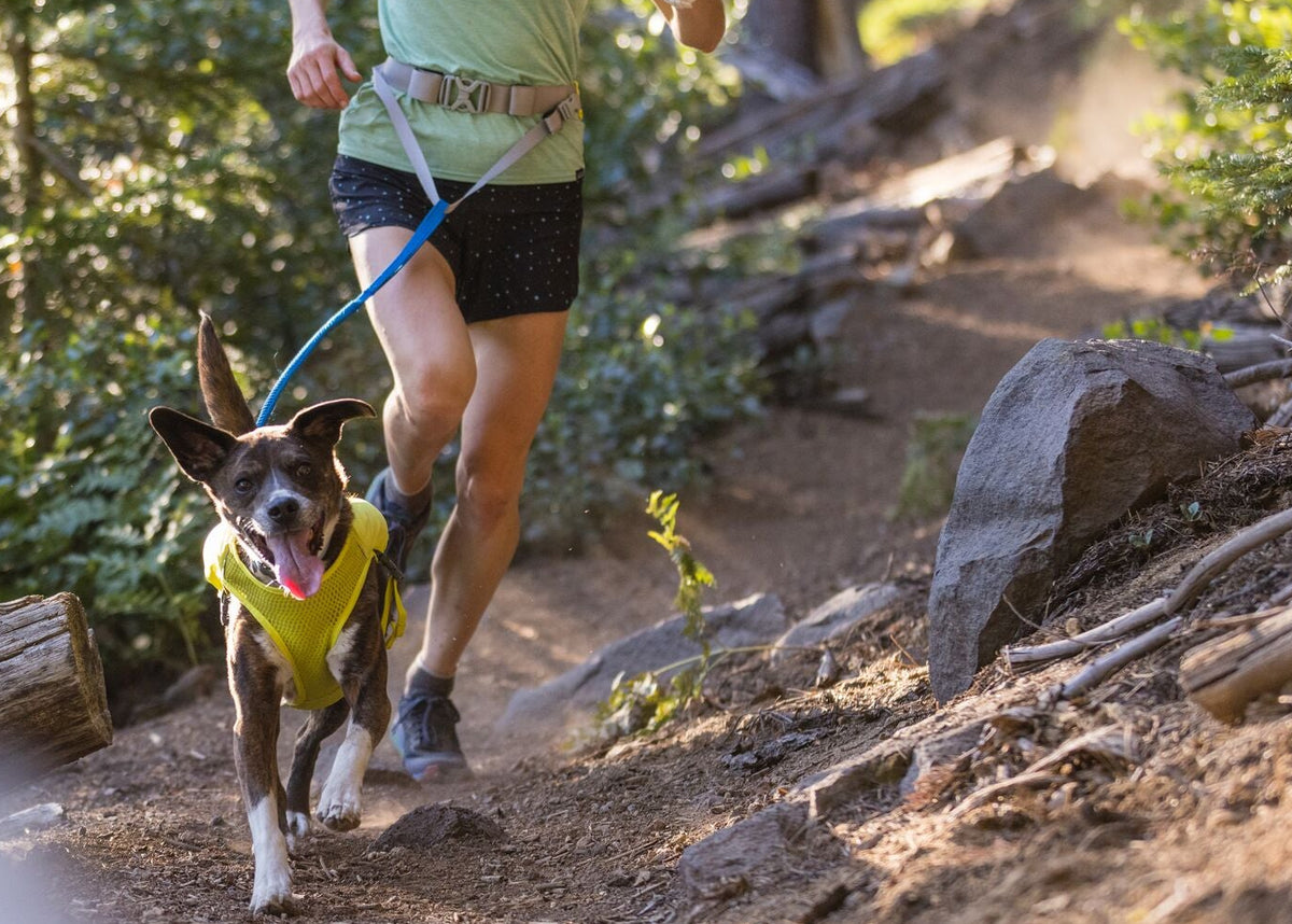 Person running on forest trail with dog wearing Ruffwear Trail Runner Vest, using Trail Runner Lead

