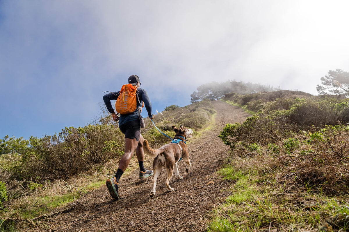 A runner and their dog trail running uphill together, the dog wearing the Ruffwear Hi &amp; Light harness on a coastal hillside trail