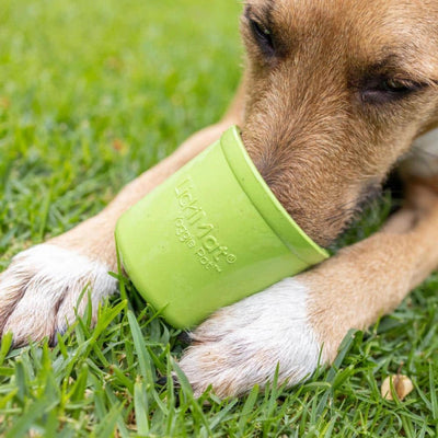 Lickimat Yoggie Pot, Interactive Dog Feeder | Barks & Bunnies