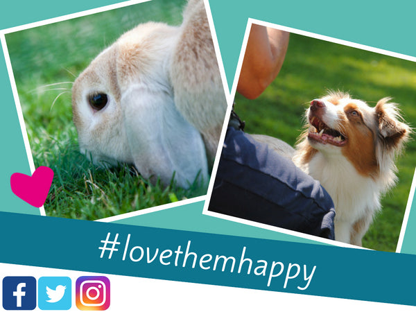 Show us Your Pet Pics #lovethemhappy