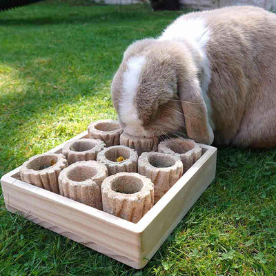 Rosewood Hide 'N' Treat Forage Tray for Rabbits | Barks & Bunnies