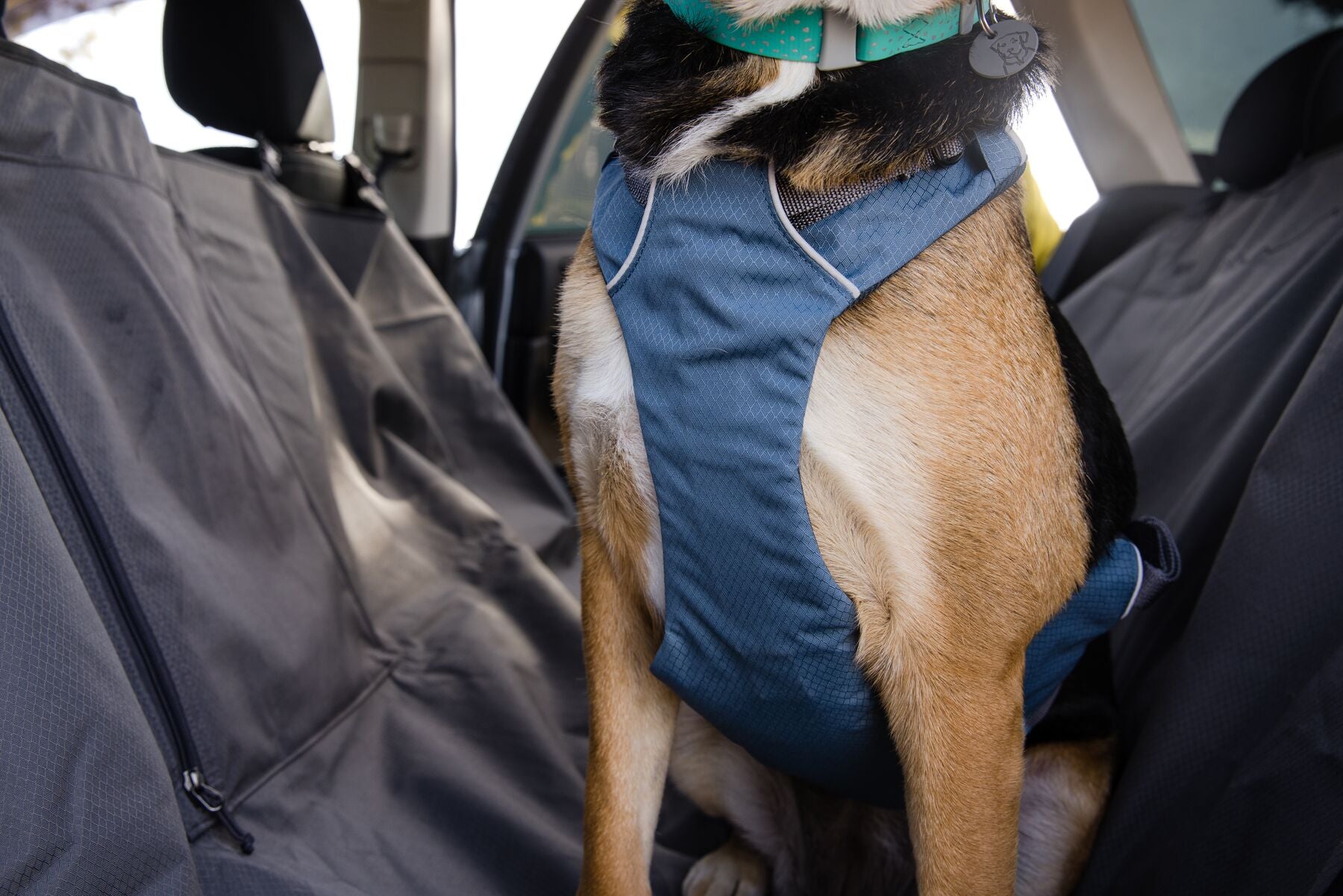 Large dog standing on the back seat of a car wearing the Ruffwear Load Up harness in Slate Blue, showing the padded body panel and secure fit during travel