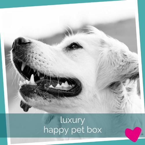 Happy Dog Subscription Box UK, Luxury Toys & Treats | Barks & Bunnies