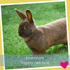 Happy Rabbit Subscription Box UK, Premium | Barks & Bunnies
