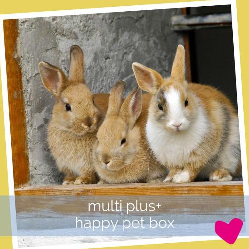 Happy Rabbit Subscription Box UK, Multi PLUS | Barks & Bunnies