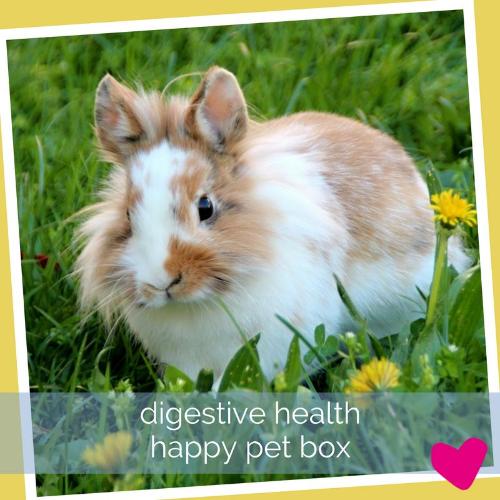 Happy Rabbit Box - Digestive Health
