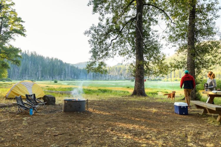 Ruffwear Knot-a-Hitch Dog Camping Tether | Barks &amp; Bunnies