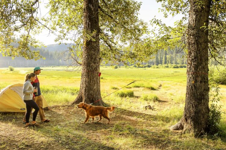 Ruffwear Knot-a-Hitch Dog Camping Tether | Barks &amp; Bunnies