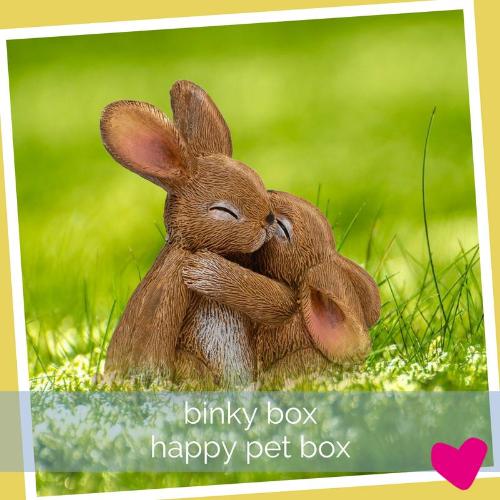 Binky Box - Happy Rabbit Subscription Box | Barks & Bunnies