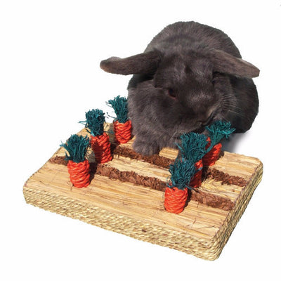 Rosewood Boredom Breaker Carrot Play Patch | Barks & Bunnies