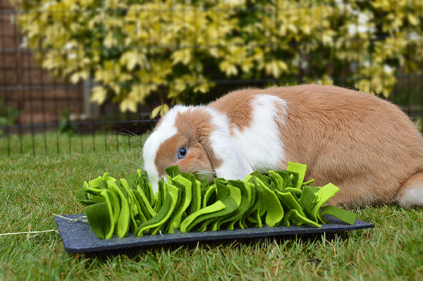 Rosewood Snuffle Forage Mat for Rabbits & Small Animals | Barks & Bunnies