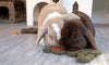 Rosewood Carrot & Forage Bunny For Rabbits | Barks & Bunnies