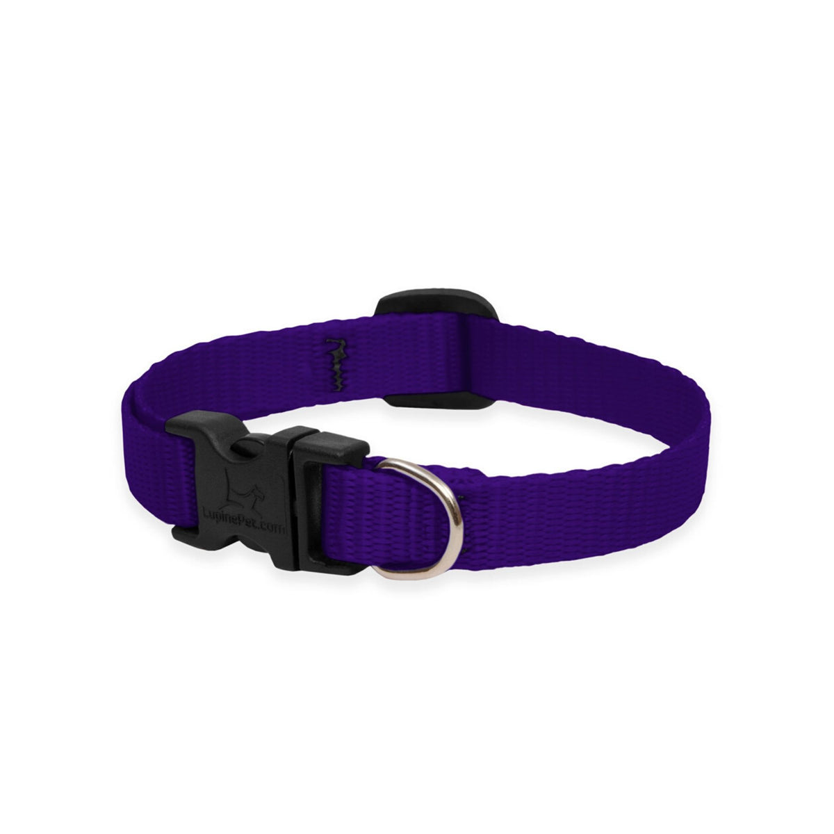 Lupine Basics Dog Collars Purple, Solid Plain Colours | Barks &amp; Bunnies