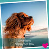 Happy Dog Subscription Box UK, Premium | Barks & Bunnies