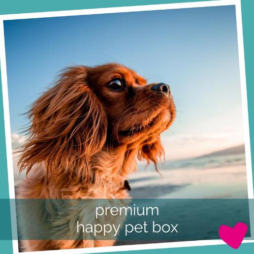 Happy Dog Subscription Box UK, Premium | Barks & Bunnies