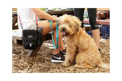 DOOG Walkie Bag, Cross Body Dog Walking Bag | Barks & Bunnies