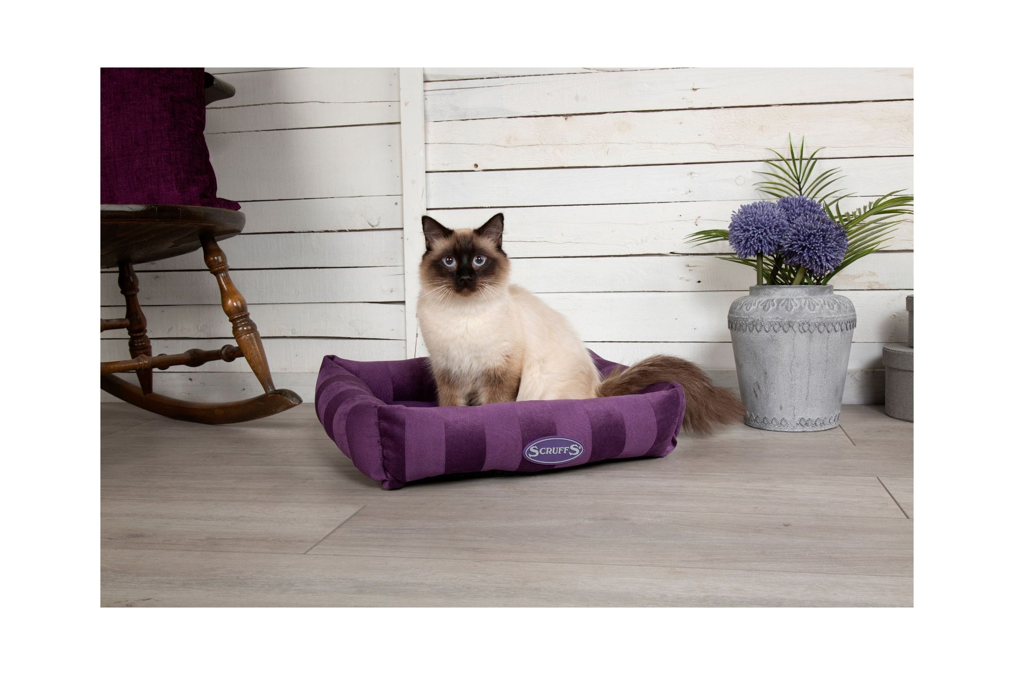 Dog　Small　Cat　Bed,　Bunnies　Lounger,　Barks　Scruffs　Bed　ArisoCat　Extra