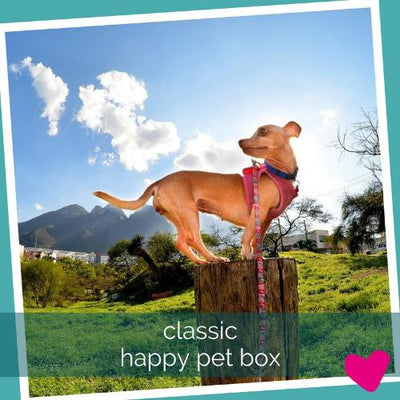 Happy Pet Subscription Box UK, Classic Dog | Barks & Bunnies