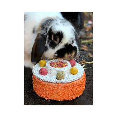 Details 81+ birthday cake for rabbits best - in.daotaonec