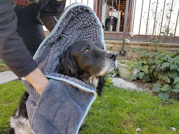 Henry Wag Microfibre Noodle Glove Towel For Dogs Barks Bunnies
