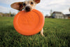 Zogoflex Zisc Frisbee Dog Toy UK, Guranteed Tough | Barks & Bunnies