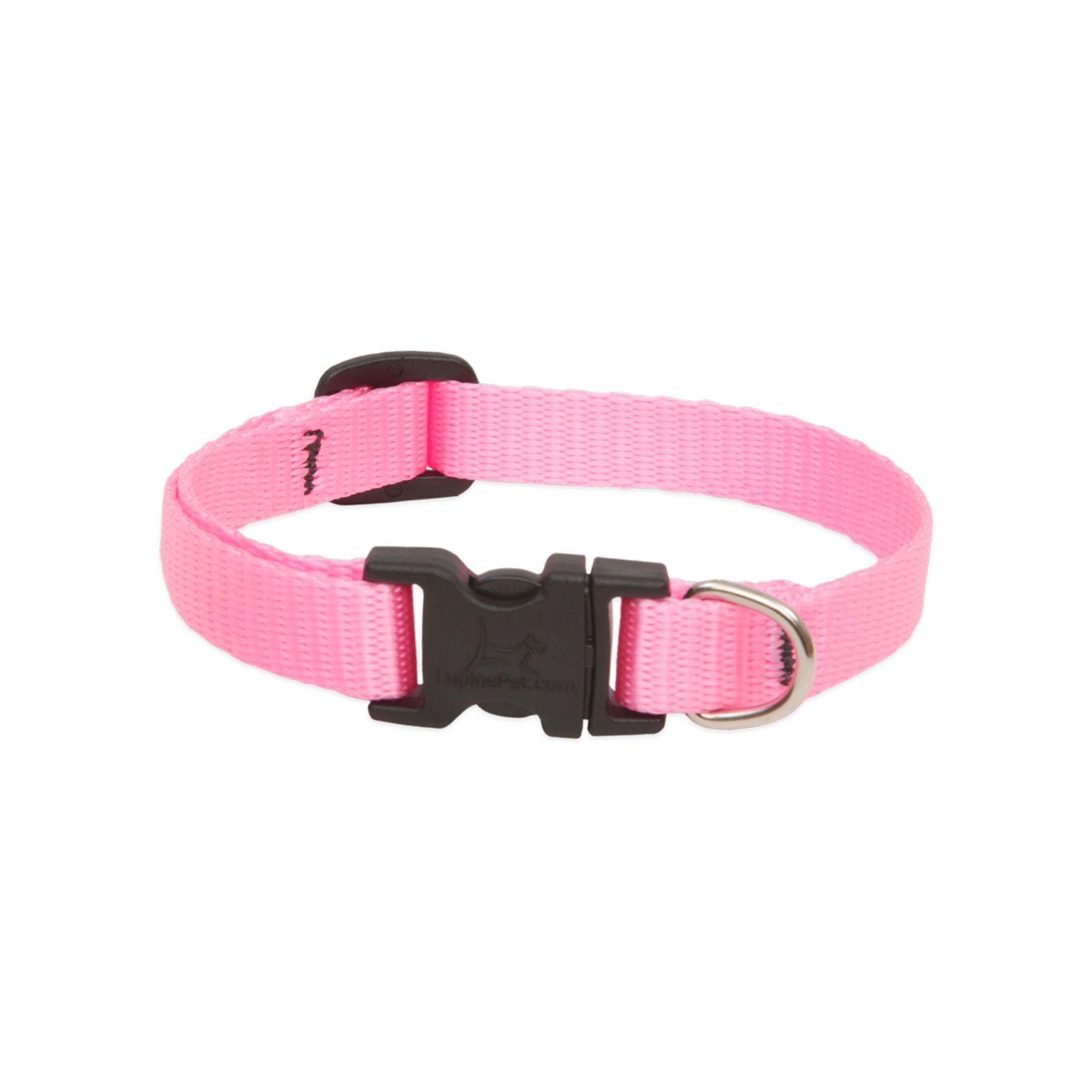 Lupine Basics Dog Collars Pink, Solid Plain Colours | Barks & Bunnies