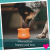 Happy Dog Subscription Box UK, Interactive Toy | Barks & Bunnies