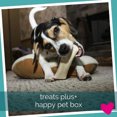 Monthly Happy Dog Treat Subscription Box UK | Barks & Bunnies