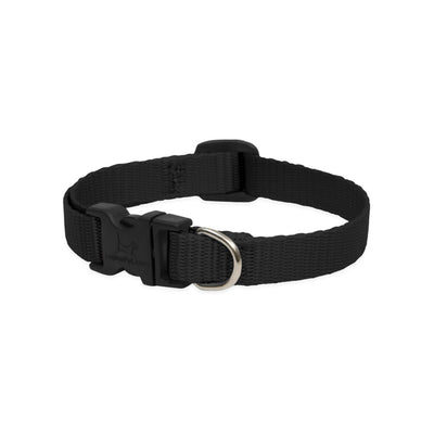 Lupine Basics Dog Collars Black, Solid Plain Colours | Barks & Bunnies