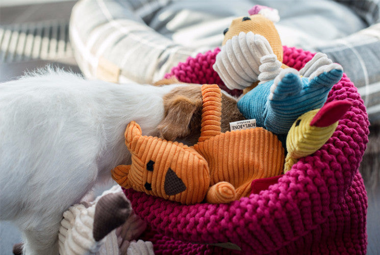 Bowl &amp; Bone Republic Cotton Basket Pink, Dog Toy Storage | Barks &amp; Bunnies