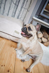 Bowl & Bone Republic Deco Cushion Amber, Dog Bed | Barks & Bunnies