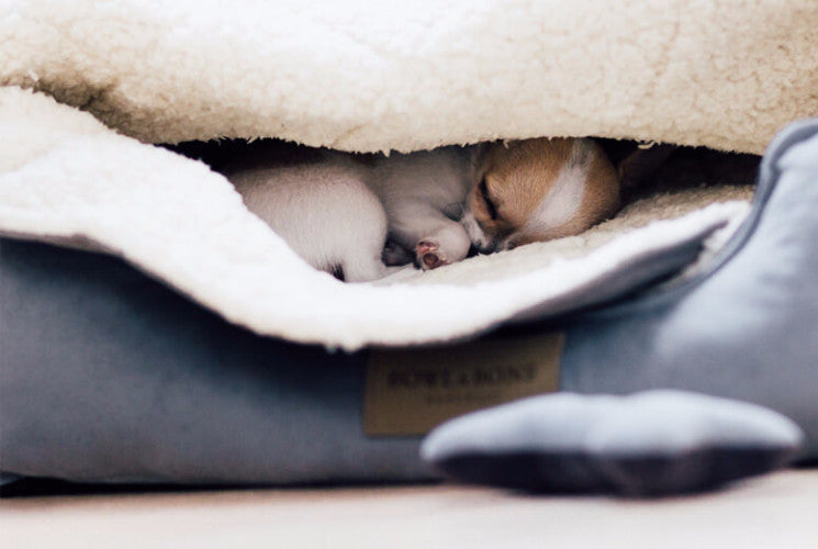 Bowl &amp; Bone Republic Classic Bed Grey, Dog Bed | Barks &amp; Bunnies