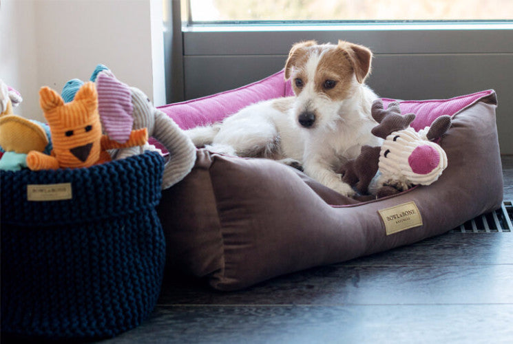 Bowl &amp; Bone Republic Classic Bed Grey, Dog Bed | Barks &amp; Bunnies