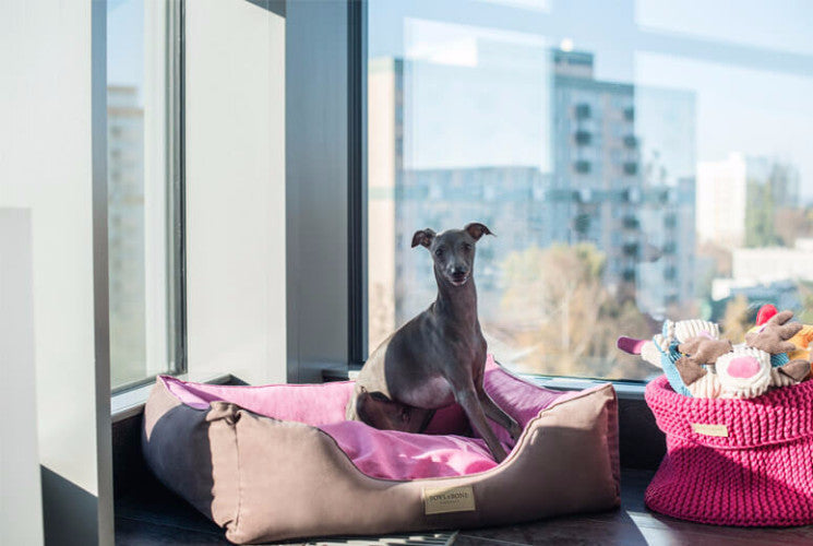 Bowl &amp; Bone Republic Classic Bed Pink, Dog Bed | Barks &amp; Bunnies