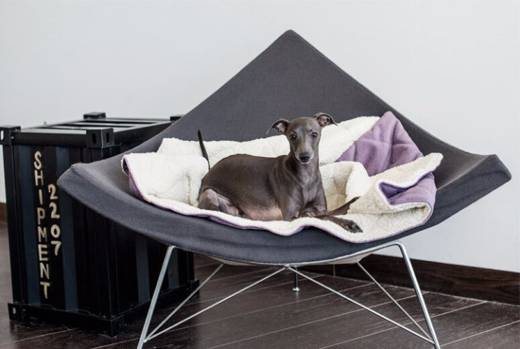 Bowl &amp; Bone Republic Dreamy Bed Silver, Dog Bed | Barks &amp; Bunnies