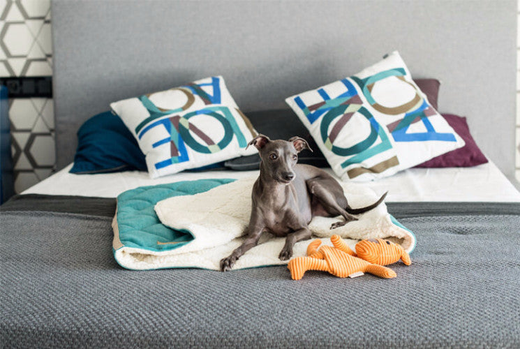 Bowl &amp; Bone Republic Dreamy Bed Silver, Dog Bed | Barks &amp; Bunnies