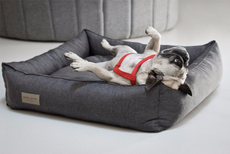 Bowl &amp; Bone Republic Urban Bed Grey, Dog Bed | Barks &amp; Bunnies