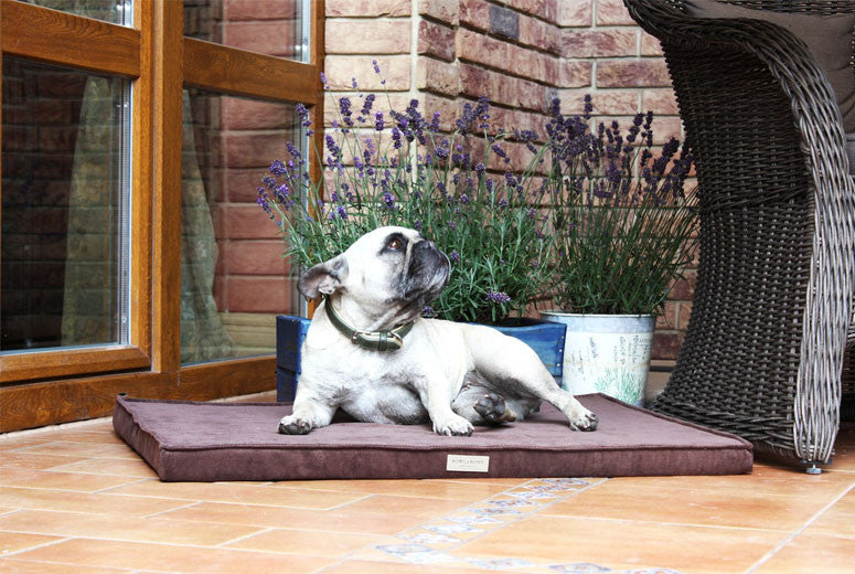 Bowl & Bone Republic Chill Mat Silver, Dog Bed | Barks & Bunnies