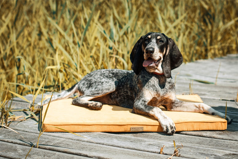 Bowl &amp; Bone Republic Chill Mat Silver, Dog Bed | Barks &amp; Bunnies