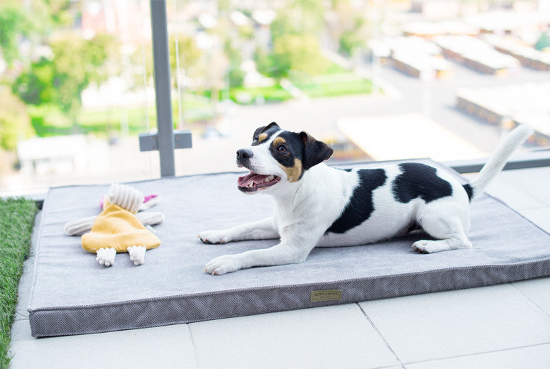 Bowl &amp; Bone Republic Chill Mat Silver, Dog Bed | Barks &amp; Bunnies