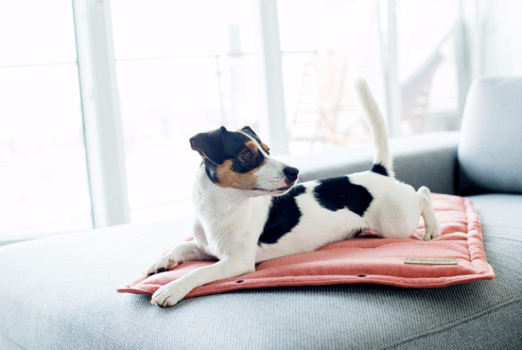 Bowl & Bone Republic Loft Mat Coral, Travel Dog Bed | Barks & Bunnies