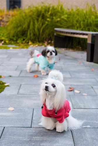 Bowl & Bone Republic Cloud Hoodie Dog Coat | Barks & Bunnies