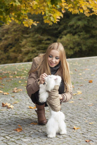 Bowl & Bone Spirit Jacket Gold, Quilted Dog Coat | Barks & Bunnies