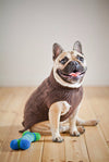 Bowl & Bone Aspen Pullover Pink, Warm Wool Dog Coat | Barks & Bunnies