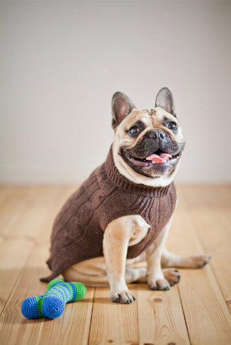 Bowl & Bone Aspen Pullover Ecru, Warm Wool Dog Coat | Barks & Bunnies