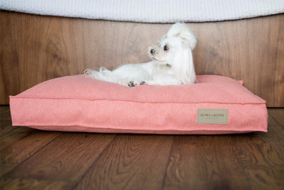 Bowl & Bone Republic Loft Cushion Coral, Dog Bed | Barks & Bunnies