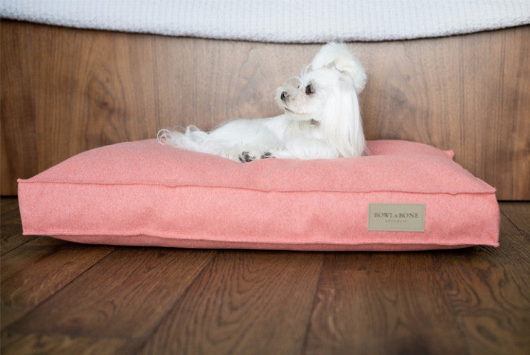 Bowl &amp; Bone Republic Loft Cushion Graphite, Dog Bed | Barks &amp; Bunnies